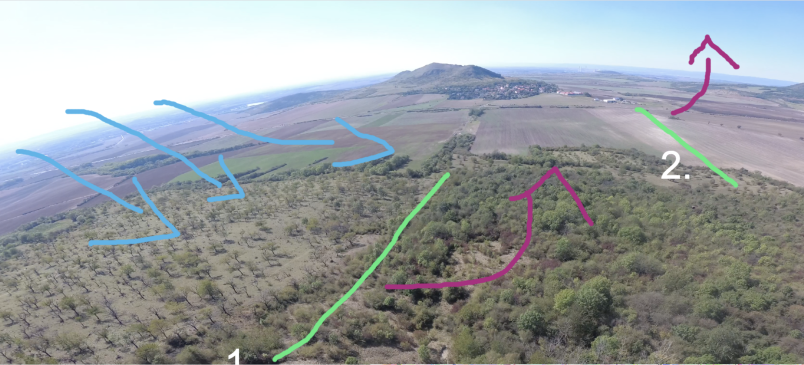 Oblík - zeleně jsou odtrhovky dnešních stoupáků