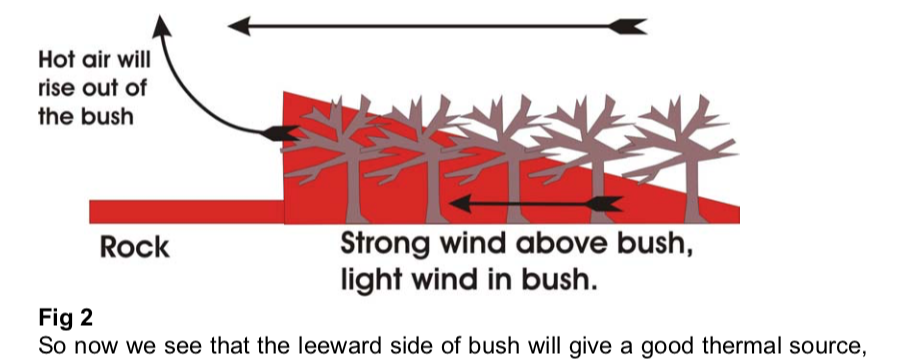 U stoupáku č.1 - nejspíš šlo o leeside of bush